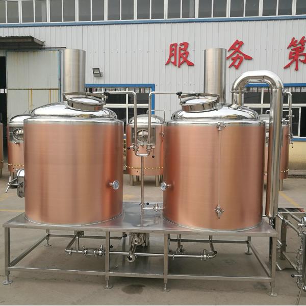 Rose Gold SS304 / 316 500L Small Brewery Equipment 50 / 60 Hz Frequency
