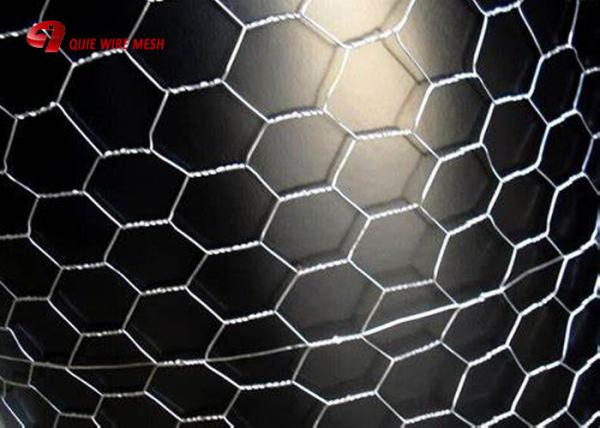 PVC Coated Or Galvanized Hexagonal Chicken Wire Mesh For Poultry