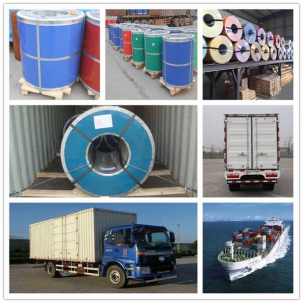 PPGI S350GD Galvanized Sheet Coil 1 - 3mm S550GD Prepainted Corrugated Sheet