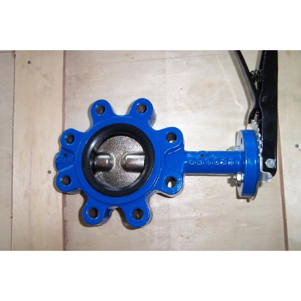 Sanitary Cast Iron Lug Butterfly Valve API 609 / ISO 5752 / BS 5155, OEM offer