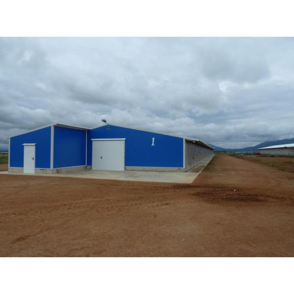 Промышленные стальные конструктивные здания Преfabricated Steel Poultry House Customized