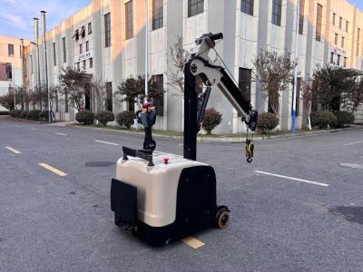 Non Standard Electric Counter Balance Forklift  Truck with Crane Arm  Length 2480 mm 24V 210AH