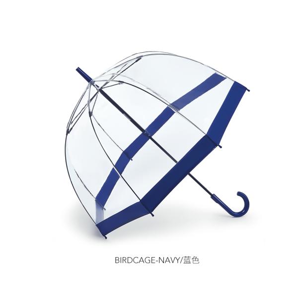 Stylish Dome Shape Clear PVC Plastic Rain Umbrella for Adults Apollo Minimalist Design