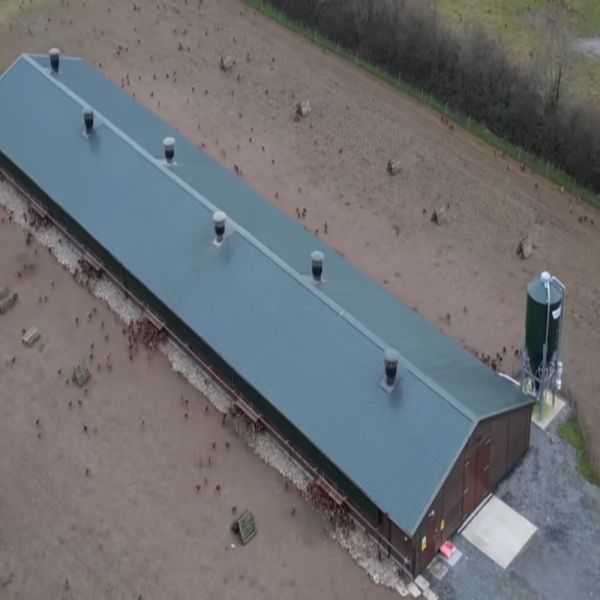 Eco-friendly Prefab Poultry Farm with Wind and Rain Resistant Steel Poultry House and 40-Year Warranty