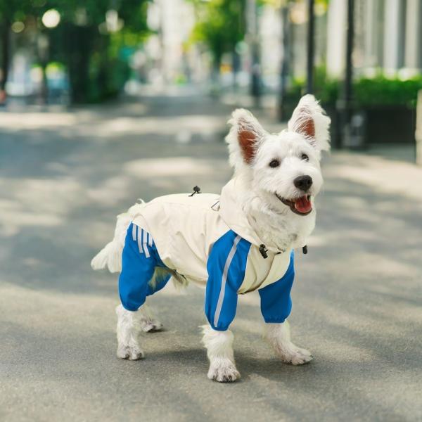 Pet Clothes Raincoat Waterproof Animal Pattern Small Size for Dogs Summer/Spring