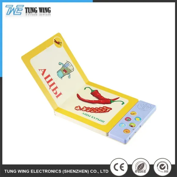 ABS Material Sound Book with Customized Size and CE Certified for Educational Toy Talking Book