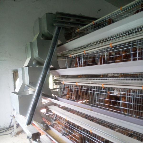 Клетка птицы птицефермы 120 птиц с системой яйца собирая