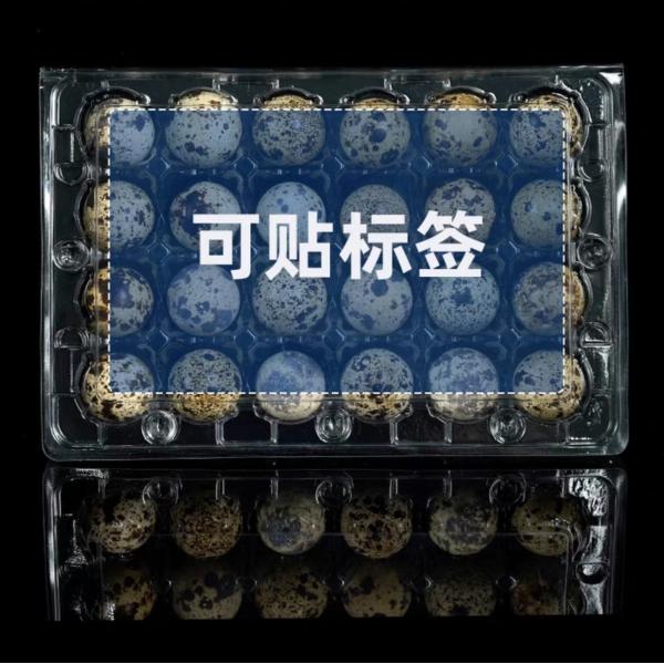 20 Hole Disposable Plastic Egg Packaging PET Transparent Egg Tray Portable