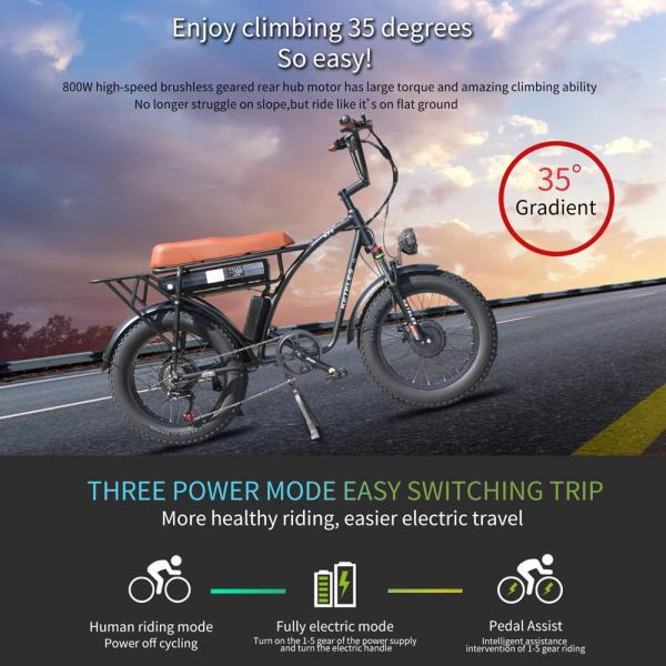 48V 23Ah Lithium Battery Electric Bike with Mechanical Disc Brake and Powerful Motor