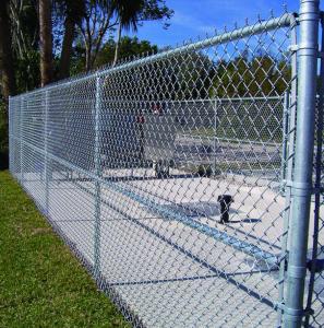 Hot Dip Galvanized Chain Link Fence 6ft 8ft 30m 50m Roll