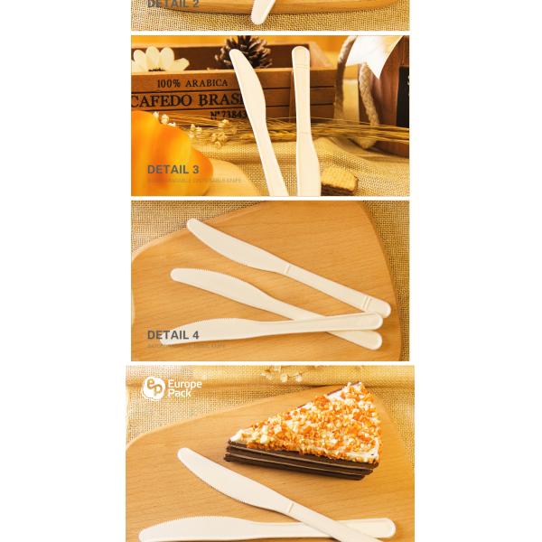 2019 new arrival high quality disposable biodegradable cake knife