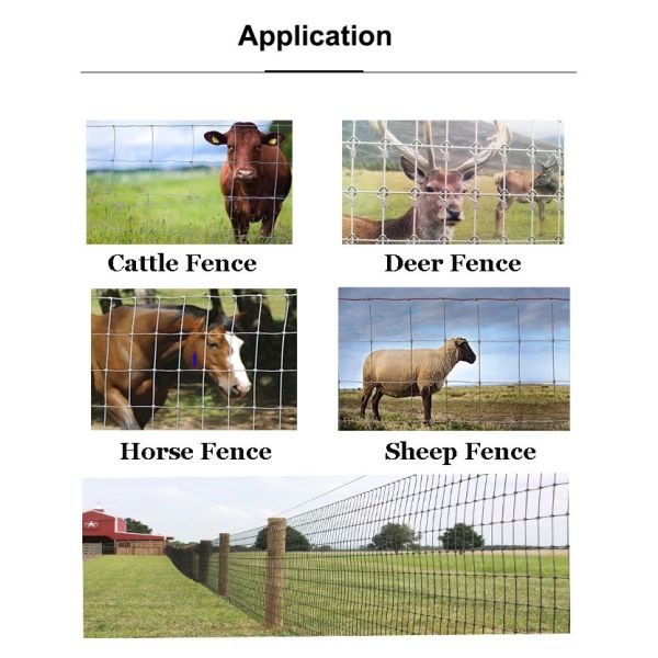 Low Price 1.2m*50m Hot Dipped Galvanized Woven Wire Mesh Cheap Farm Fence