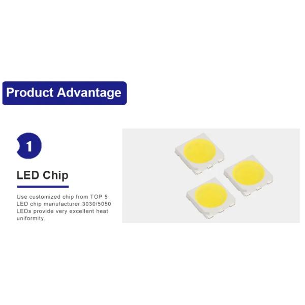 Glass Cover Light Post Top Lamp Decoration Garden Three Arm 30W 60W 80W 90W 120W