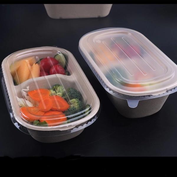 Коробка контейнеров Biodegradable устранимой багассы сахарного тростника на вынос