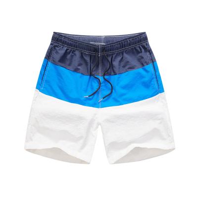 Customized Quick Drying Mens XXL Golf Shorts Color Block Swim Shorts OEM