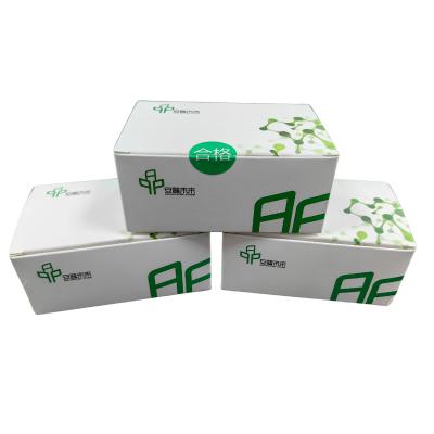 Kit de PCR isotérmico de amplificação de ADN NFO Reagente liofilizado