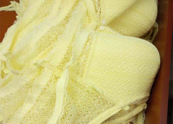 Stretch Lace Fabric Underwear Sewing Machine For women Lock Stitch Formation
