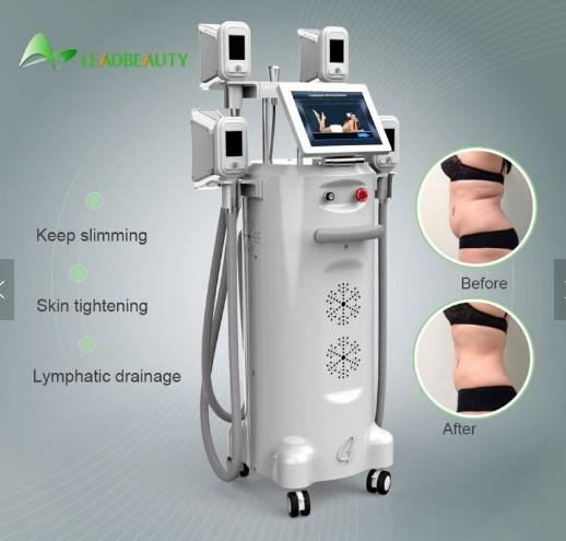 the most effective cryo slimming machine  paypal accepted Hot sale salon and clinic use best quality