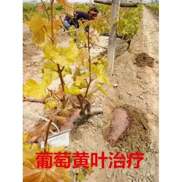 Удобрение КАС 16455-61-1 орто железное Эддха, темнота - красный хелат 6 Эддха утюга Брауна