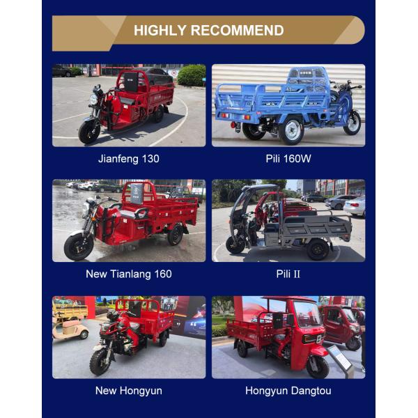 Customized Adult Trike 3-Wheels Motorized Cargo Tricycle for Heavy Duty Transport