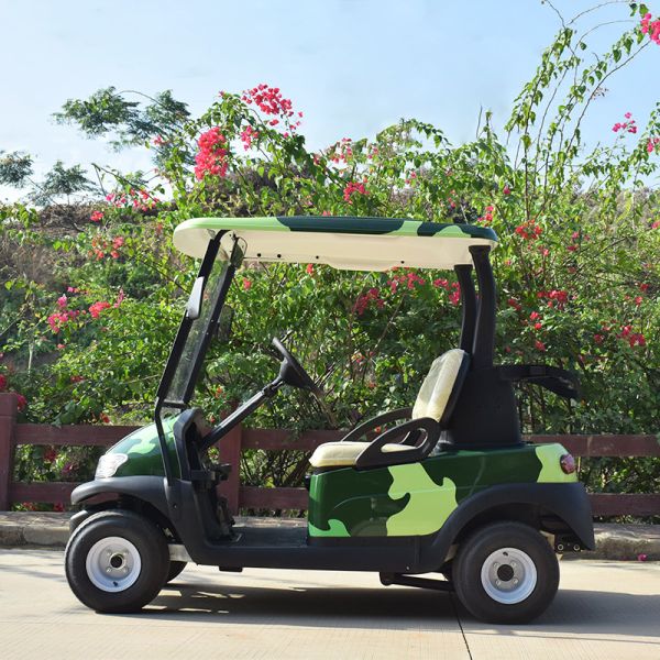 Onward 2 Passenger Electric Golf Cart Trojan Battery CE Approved