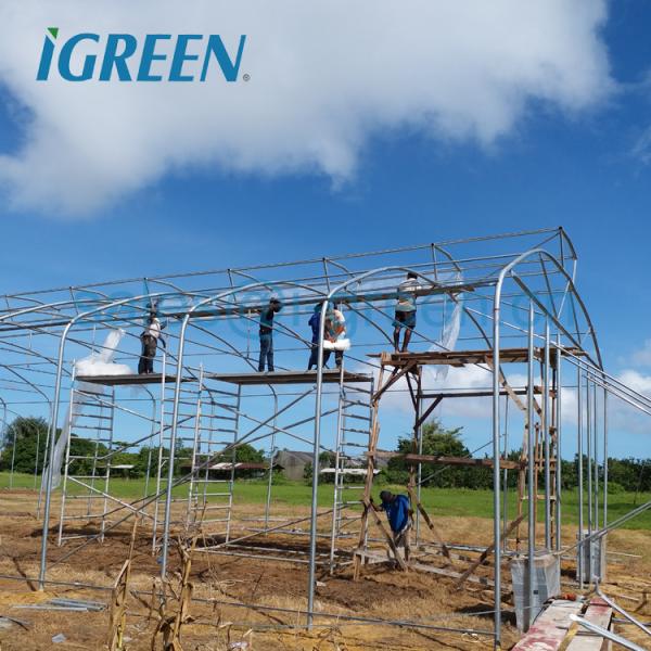 Umbrella Shape Single-Span Large Agriculture Prefab Greenhouse with Hot Dipped Galvanized Steel Frame PE Material