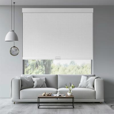 Customizable Modern Style Waterproof Fiberglass Roller Blind Fabric for Home