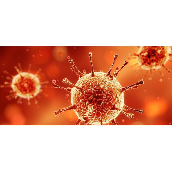 100% HIV Rapid Test Kit