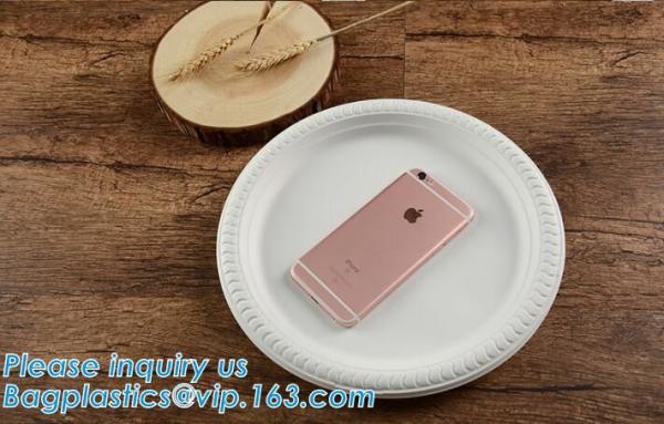 Biodegradable Disposable Sugarcane Bagasse Party Plate,Eco-friendly sugarcane bagasse paper plate/disposable compostable