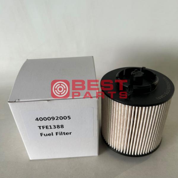 100% Professional Tested Excavator Fuel Filter 40009205 for Construction Equipment