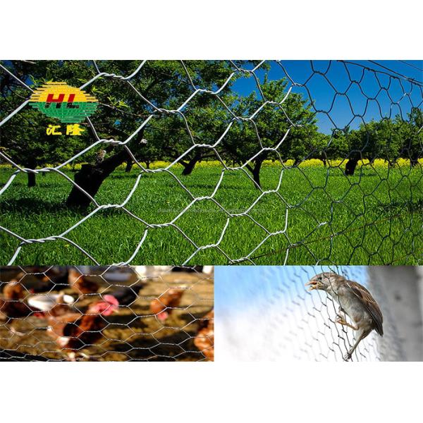 Птица Кролик Курица Виниловый покрытый шестеренковой сеткой низкоуглеродный железный провод