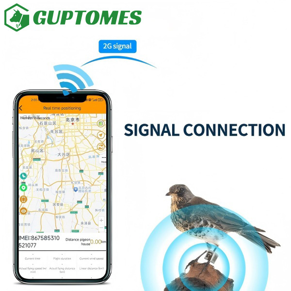IP67 Sistema de monitoreo GPS de aves impermeable 5-15m de precisión con seguimiento de múltiples unidades
