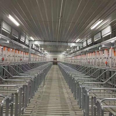 porca do tubo de 2.5mm que aumenta a caixa da gestação do porco