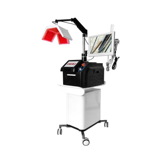 650nm Hair Growth Laser Light Device , 90Hz Light Therapy Machine Professional