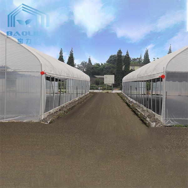 Steel Pipe Dome Metal Hoop Greenhouse Galvanized Prefabricated Single Tunnel Plastic Greenhouse