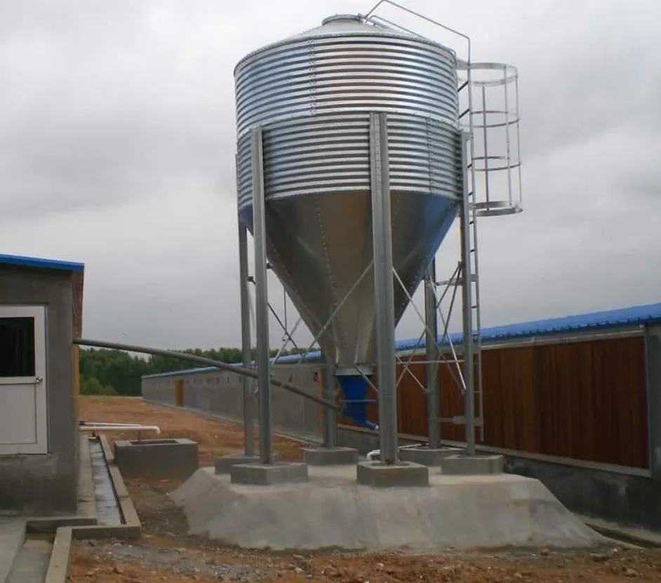 PP Material Automatic Poultry Feeding System Labor Saving For Chicken Care