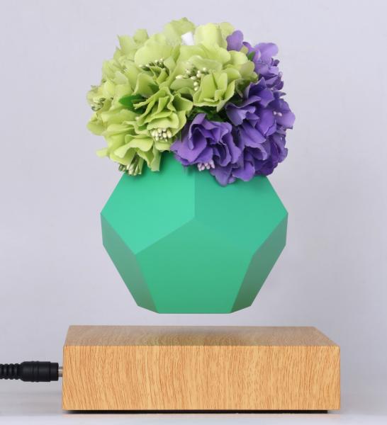 Magnetic levitation Plant Pot & Base Creative Potted Plants flower plant pot
