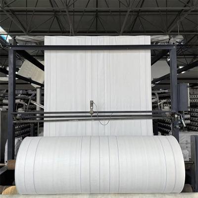 Transparent White PP Woven Bag Roll Material Reinforced Cloth For FIBC Bulk Bag Fabric