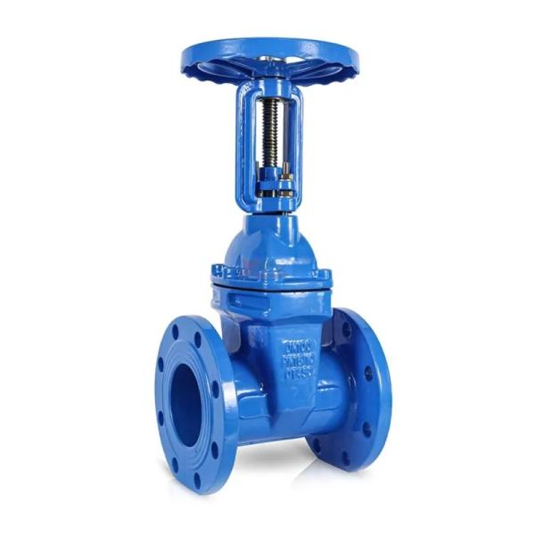 PN10 Ductile Iron Body 100mm Handwheel Soft Seal Rising Stem Elastic Gate Valve
