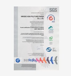 Papel de envase de regalo 250g300g recubierto de un lado C1s/Fbb para hacer postal