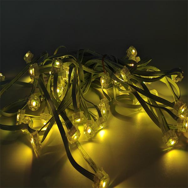 Christmas Colorful Pixel LED Lights For House Eaves 12V 20MM Decorative Lamp