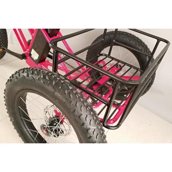 500W Cargo Adult 3 Wheel Electric Bicycle with Fat Aluminium Rim and EN71 Certificate