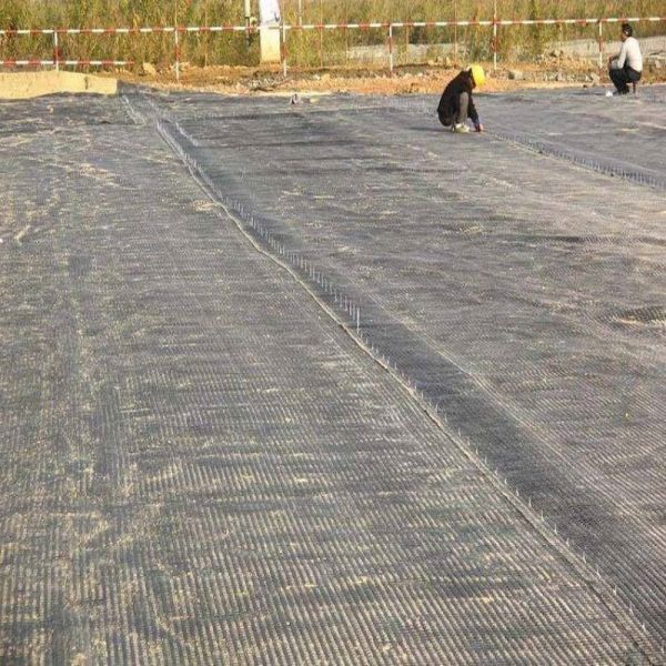 Two Direction Biaxial Plastic Geogrid  2m To 6m Biaxial Polypropylene Geogrid
