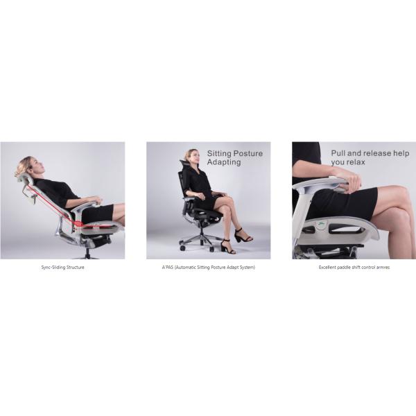 IFIT Black Ergonomic Desk Chair With Lumbar Support Adjustable Tilting