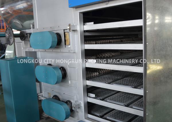 Large Capacity Waste Paper Recycling EggTray Production Line Pulp Tray Machine