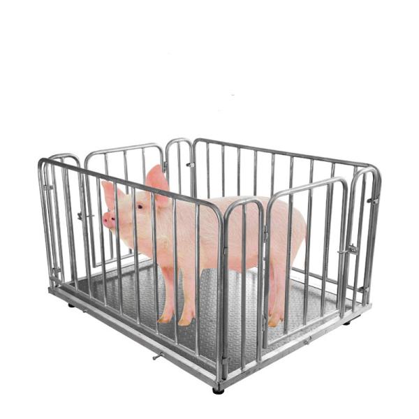 Weight Function Pig Cattle and Sheep Weighing Electronic Scale 1-3T Capacity for Accurate Farm Weighing