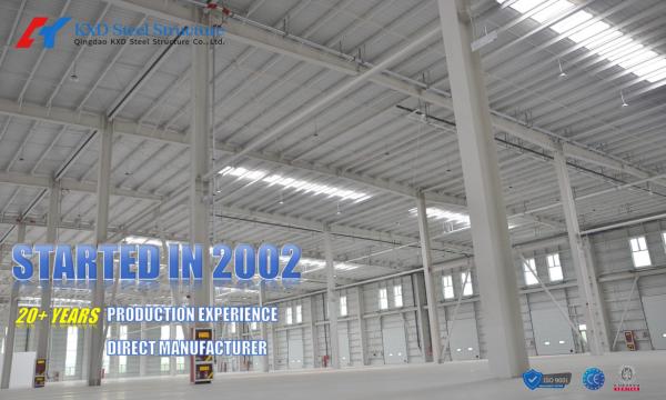 Q355 Galvanized Prefabricated Commercial Large Clear Span Portal Light Steel Structure Shed