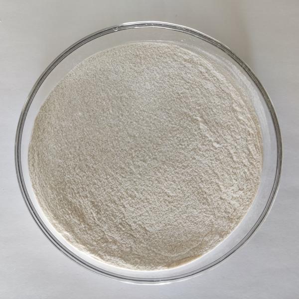 High Quality White Protease Enzyme with High Stability for Top-notch Functionality