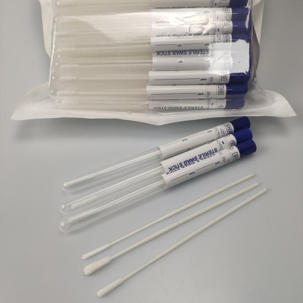 Cotton Rayon Head Specimen Collection Swabs With Tube Femal Oral Samples