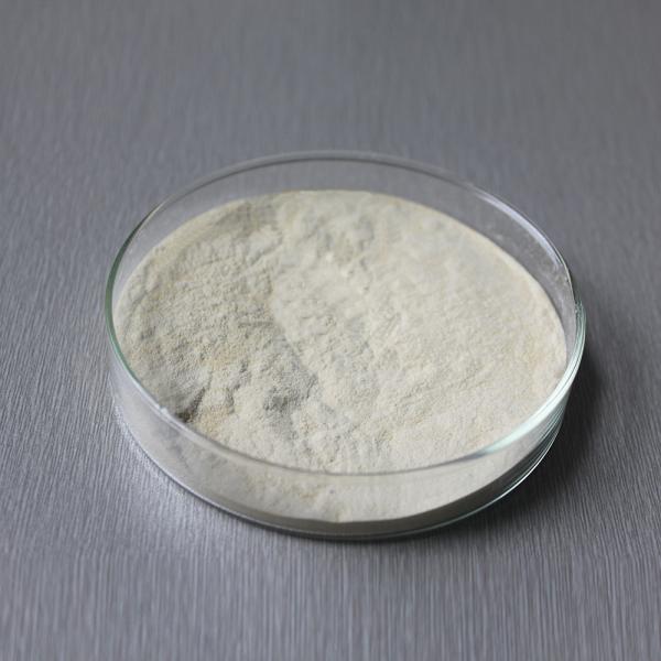 Bromelain Enzyme Powder 2400GDU Protease manufacturers, enzyme preparations have price advantages